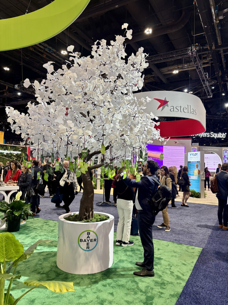 asco 2025 bayer