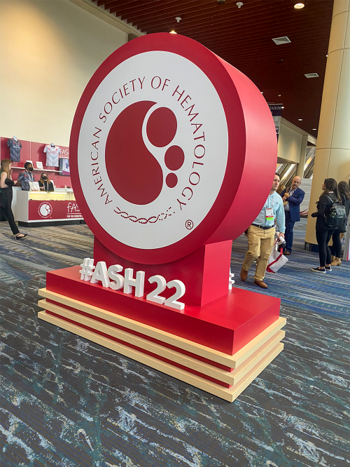 image_2 display at ash 2022
