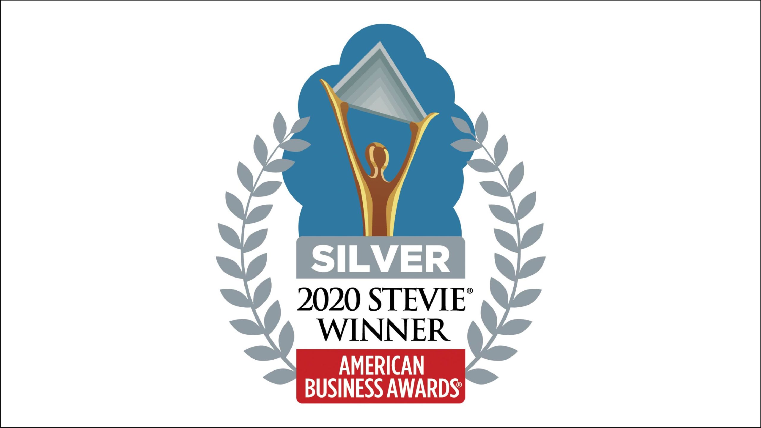 2020 Stevie Winner Award